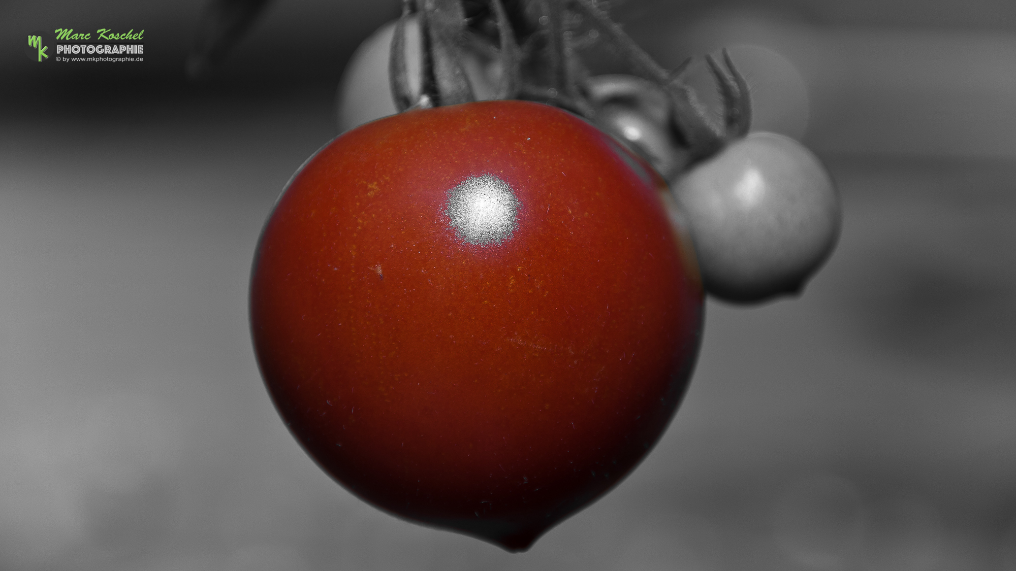 Red Tomatoe