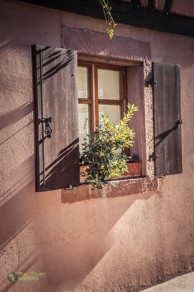 Window in Colmar