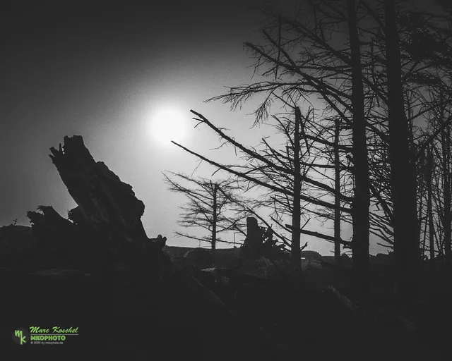 Twilight