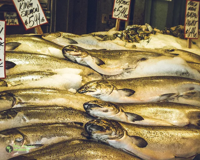 Fish Market