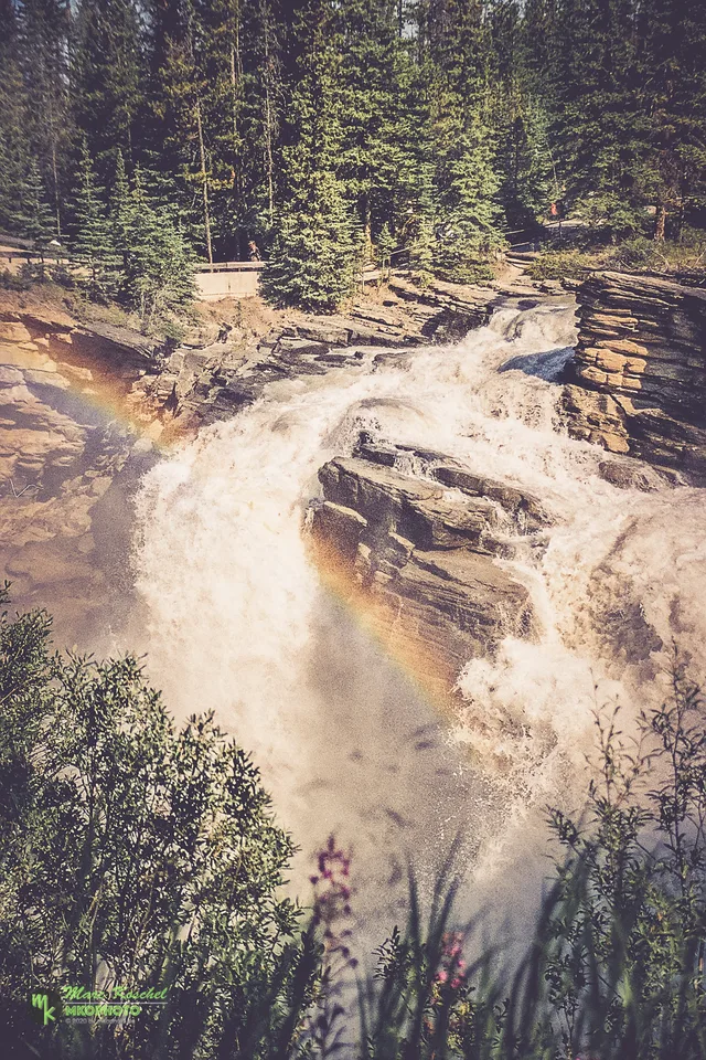 Jasper NP