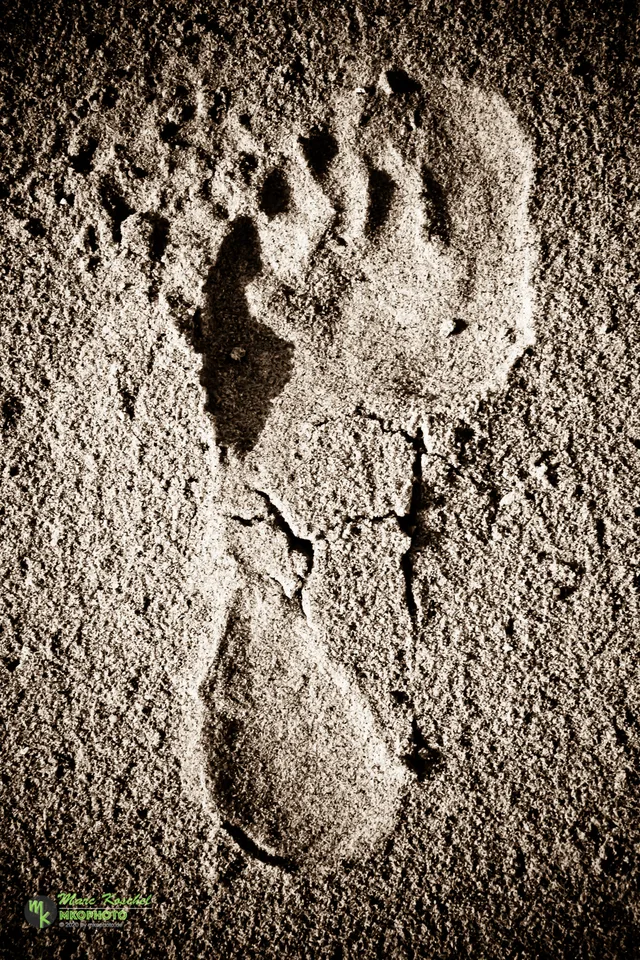 Footprint