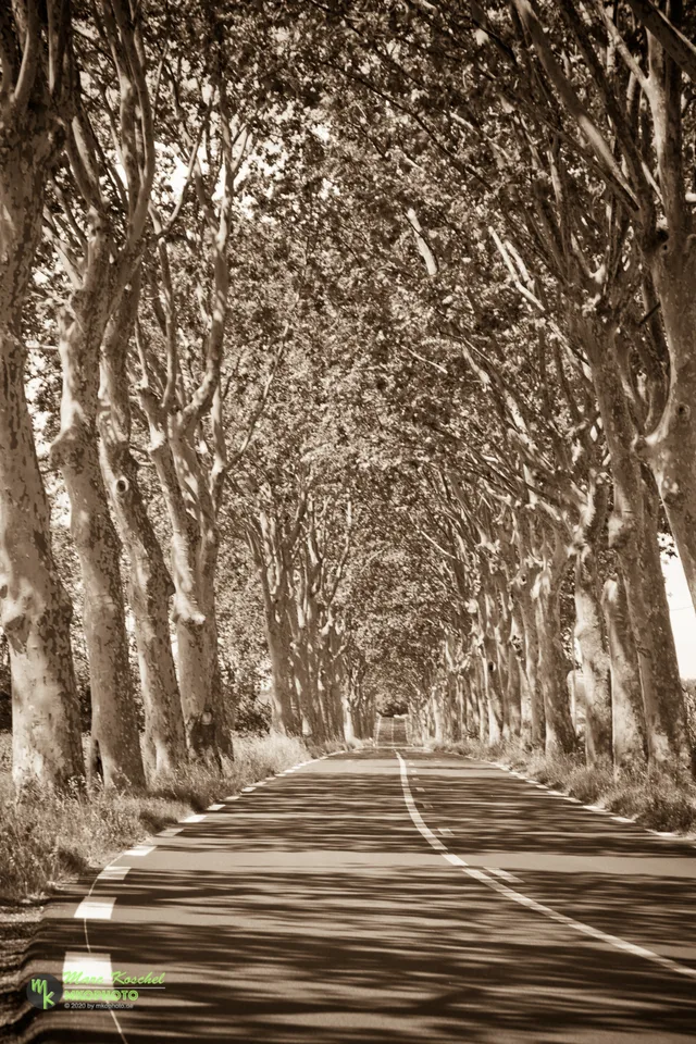 Languedoc