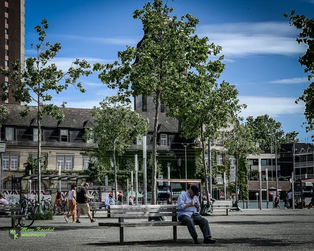 Old Man on a park bench