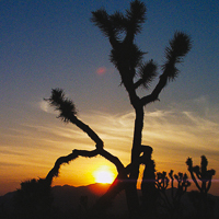 thumbs-south-west-16.jpg
